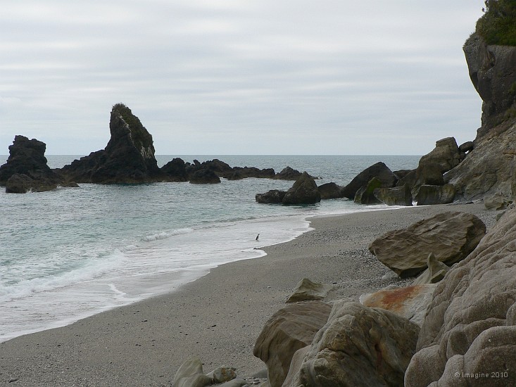 12.39- Moeraki beach, refuge de manchots.JPG